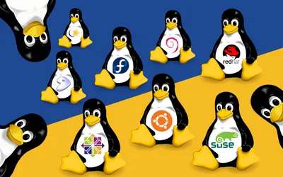 SOLO on Linux